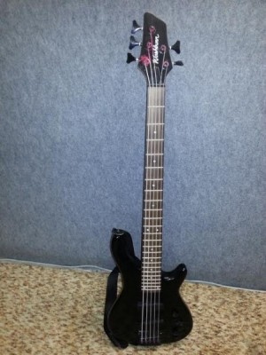 5 strun. bass Washburn