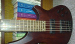 Basa Schecter – fotka 2
