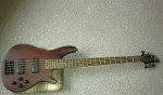 Basa Schecter – fotka 3