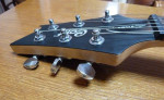 Cort z22 – fotka 2