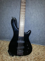 5 strun. bass Washburn – fotka 2